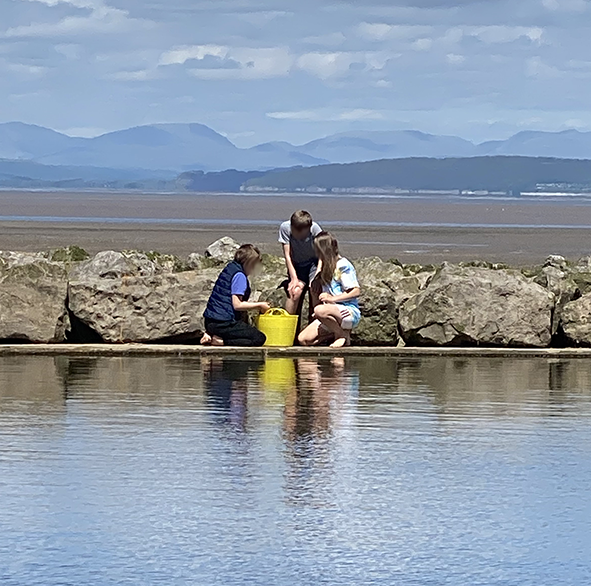 crabbing.png